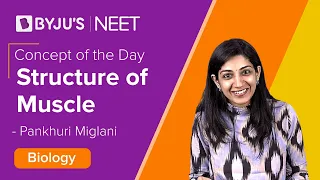 Structure of Muscle | Locomotion and Movement | BIOLOGY | NEET 2022 l Pankhuri Ma'am | BYJU'S JEE