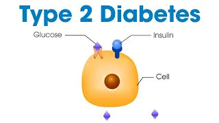 Type 2 Diabetes – What Is It? | Munson Minutes