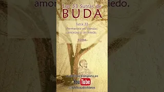 Buda - Sutra 33 (Del Audiolibro: Los 53 Sutras de Buda)