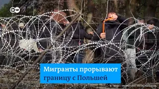 Попытка прорыва границы: польские пограничники сдерживают нелегальных мигрантов со стороны Беларуси