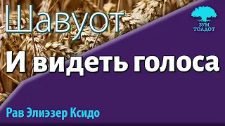 И видеть голоса. Рав Элиезер Ксидо