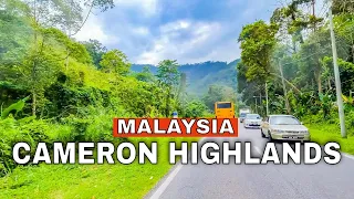 One of The Most Beautiful Scenic Route | Driving up to Cameron Highlands Malaysia