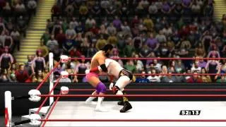 WWE Payback Kickoff Sheamus vs Damien Sandow