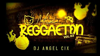 MIX REGGAETON 2024 - (GATA ONLY, LUNA... Lo Mejor Del Reggaeton) DJ ANGEL CIX