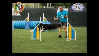 terzo raduno Nazionale Italiana Agility Dog IFCS