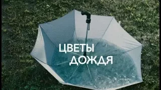 Цветы дождя 7 серия.