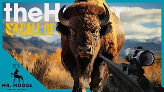 This is the BIGGEST BISON I've EVER hunted! | theHunter: Call of the Wild