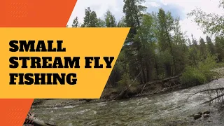 Fun Small Stream near Buena Vista, Colorado - Fly Fishing July 2022