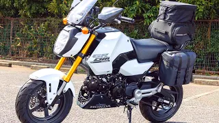 New 2024 Honda Grom 125cc, Released Date, Specs, Price, Colors, Japan,
