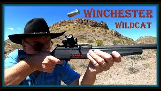 Winchester Wildcat .22 Rifle - Awesome & Unique! Fun, Fast and Accurate - Range Review & Loving It!