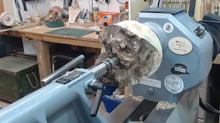 Woodturning | burr Elm