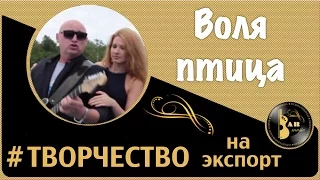 Сергей Ноябрьский.  Творчество на экспорт.  Воля птица.  Слова и музыка Сергея Губанова.