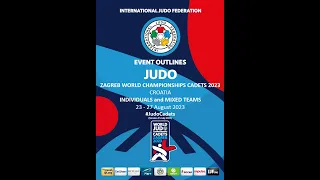 QUARTER-FINAL      JPN Tomoka INOUE & POL Zuzanna BANASZEWSKA