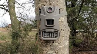 Tasco Trail Camera Review, Is it worth your money?