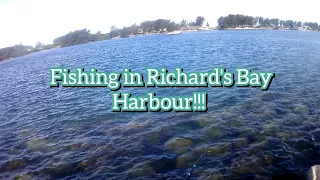 Fishing in Richard's Bay Harbour ft. @fishingspeciesafrica5811 [Watch Till END!!!] #richardsbay