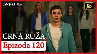 Crna Ruza - Epizoda 120