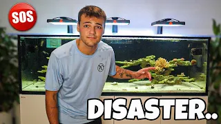 We had a DISASTER with My SALTWATER AQUARIUM...