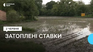 У селі біля Рівного злива затопила два десятки господарств. Причиною могли стати залишки кукурудзи