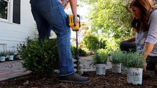 Planting Lavender! 💜🌿// Garden Answer