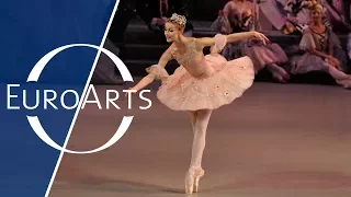 Tchaikovsky - The Nutcracker, Ballet in two acts | Mariinsky Theatre (HD 1080p)