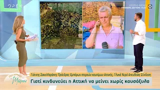 Γιατί κινδυνεύει η Αττική να μείνει χωρίς καυσόξυλα; | Μέρα μεσημέρι με τη Μάριον 16/9/2022| OPEN TV