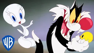 Looney Tunes in italiano 🇮🇹 | Silvestro cattura Titti?!?! | WB Kids