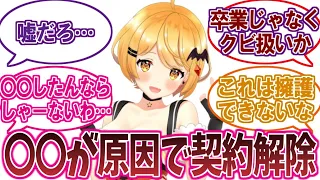 ホロライブ所属Vtuber「夜空メル」契約解除に対するネットの反応集