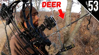 Bow Hunting Right Off the ROAD!!! (Arkansas Whitetail Hunt)