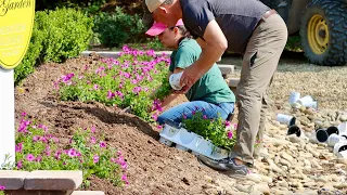 Adding The First Summer Annuals In Signature Garden