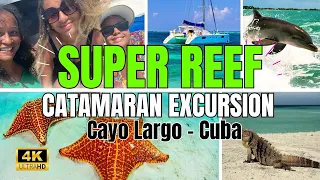 Super Reef Excursion – Cayo Largo, Cuba: Snorkeling, Iguanas, and Starfish [2023 ]  *4K*