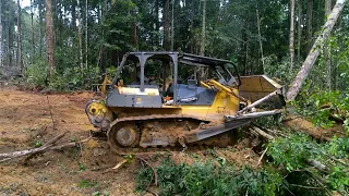 Buldoser membuka hutan untuk jalan#buldozer#hutankalimantan@dadiedandel1353