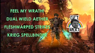 [HC] Grim Dawn Build Guide - Fleshwarped Strikes Krieg Spellbinder