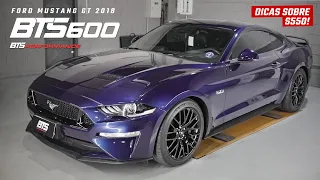 Mustang GT 2018 BTS600 - BTS Performance