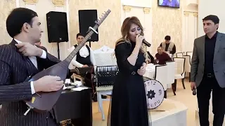 Pəri Masallı🎤👍👏👏