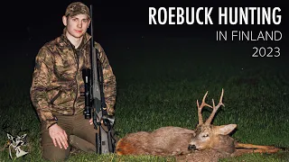 NH: Roebuck hunting | 2023