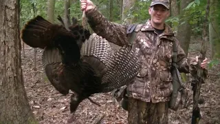 Smart Ol' Georgia Swamp Gobbler  Hunt