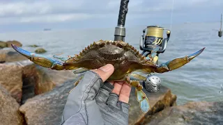 They Wouldn't STOP Biting: Live Blue Crabs (S6 E59)