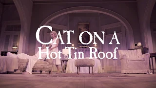 Cat on a Hot Tin Roof Trailer