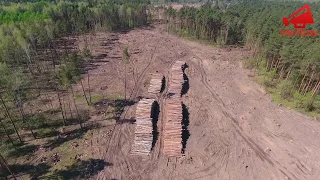Вырубка леса возле д.Раздоры.Московская область