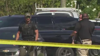 Florida deputy shoots attacking dog, bullet hits other deputy