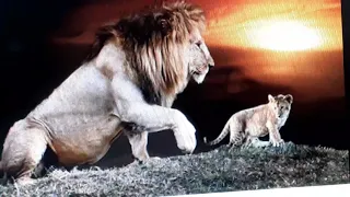 The  Lion king 3D Morning Lesson with Mufasa  Offcial  Disney  Movie  Clip in real life