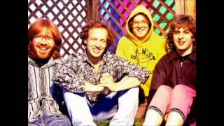 Phish - YEM, Cocaine, YEM, Halley's Comet, Slave to the Traffic Light, HYHU - 8/6/93