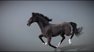 Horse — Spanish Mustang в 3D от NestaEric