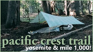 Mile 1,000 & Yosemite National Park - Pacific Crest Trail ep.8
