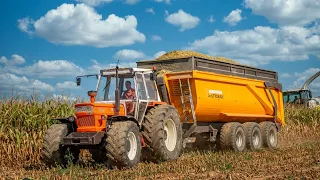 JE FILME UN SOMECA 1300 DT a l'ensilage de maïs 🔊🔊 💪💨