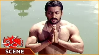 Aaru Movie || Surya Best Introduction Scene || Surya, Trisha, Ashish Vidyarthi || Shalimarmovies