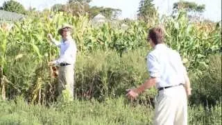 The Undercover Farmer