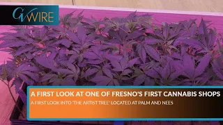 A First Look at One of Fresno's First Cannabis Shops