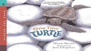📚One Tiny Turtle: Read and Wonder Read Aloud Bedtime Stories For Kids