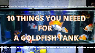 WHAT YOU NEED TO SETUP A GOLDFISH TANK (RANCHU TANK)